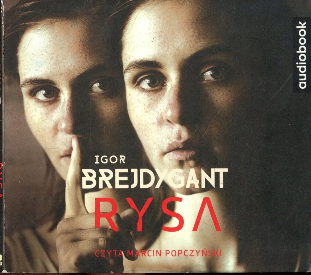 Rysa - Igor Brejdygant Audiobook