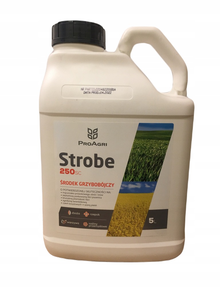 Strobe 250 SC 5L zboża ozime jare rzepak ozimy