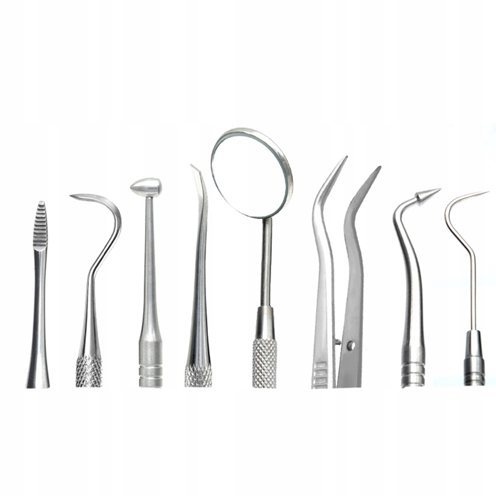 1 Set Stainless Steel Dentist Tool Kit Stainless