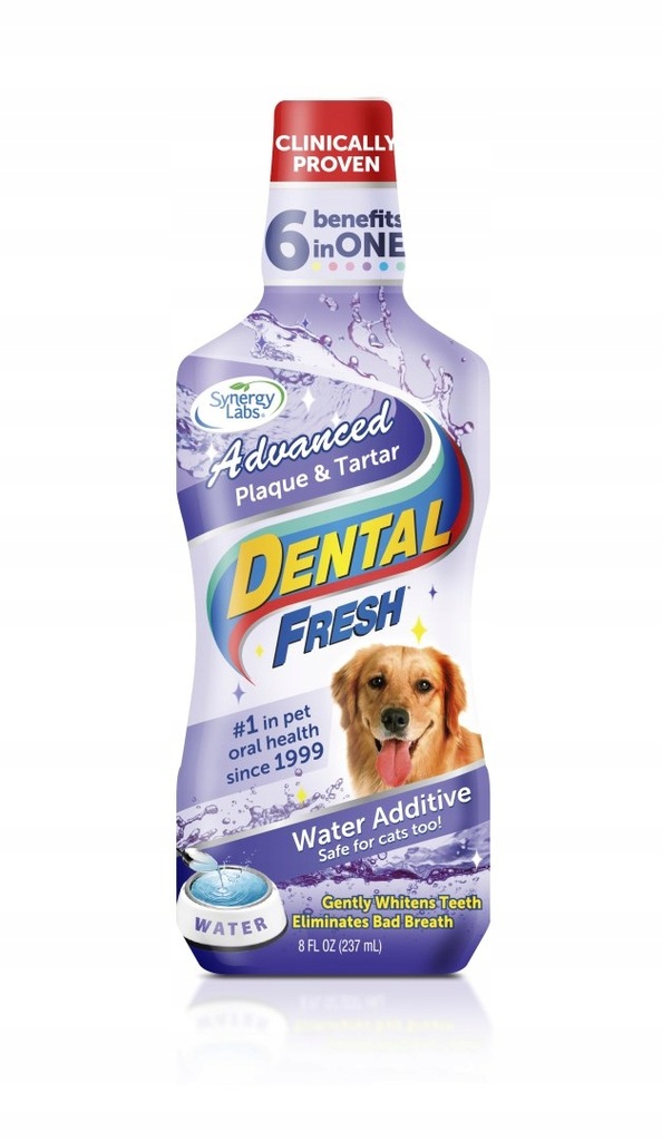 Dental Fresh Kamień i Osad (503 ml)