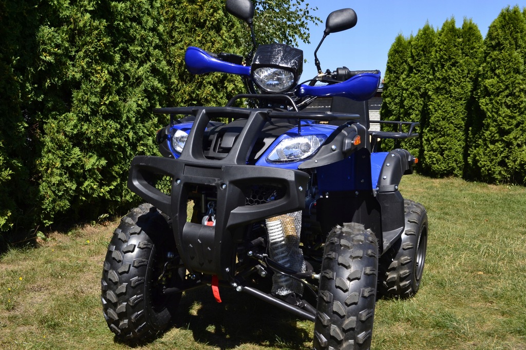 Купить КОЛЕСА QUAD 250 CC 10, ТОЛЬКО ПОЛНАЯ ОПЦИЯ 5299,- БЕСПЛАТНО: отзывы, фото, характеристики в интерне-магазине Aredi.ru