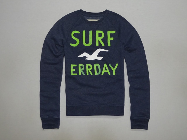 Hollister Emerald Cove Crew Neck Sweatshirt L