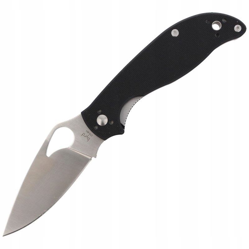 Spyderco - Nóż Byrd Raven 2 G-10 Plain (BY08GP2)