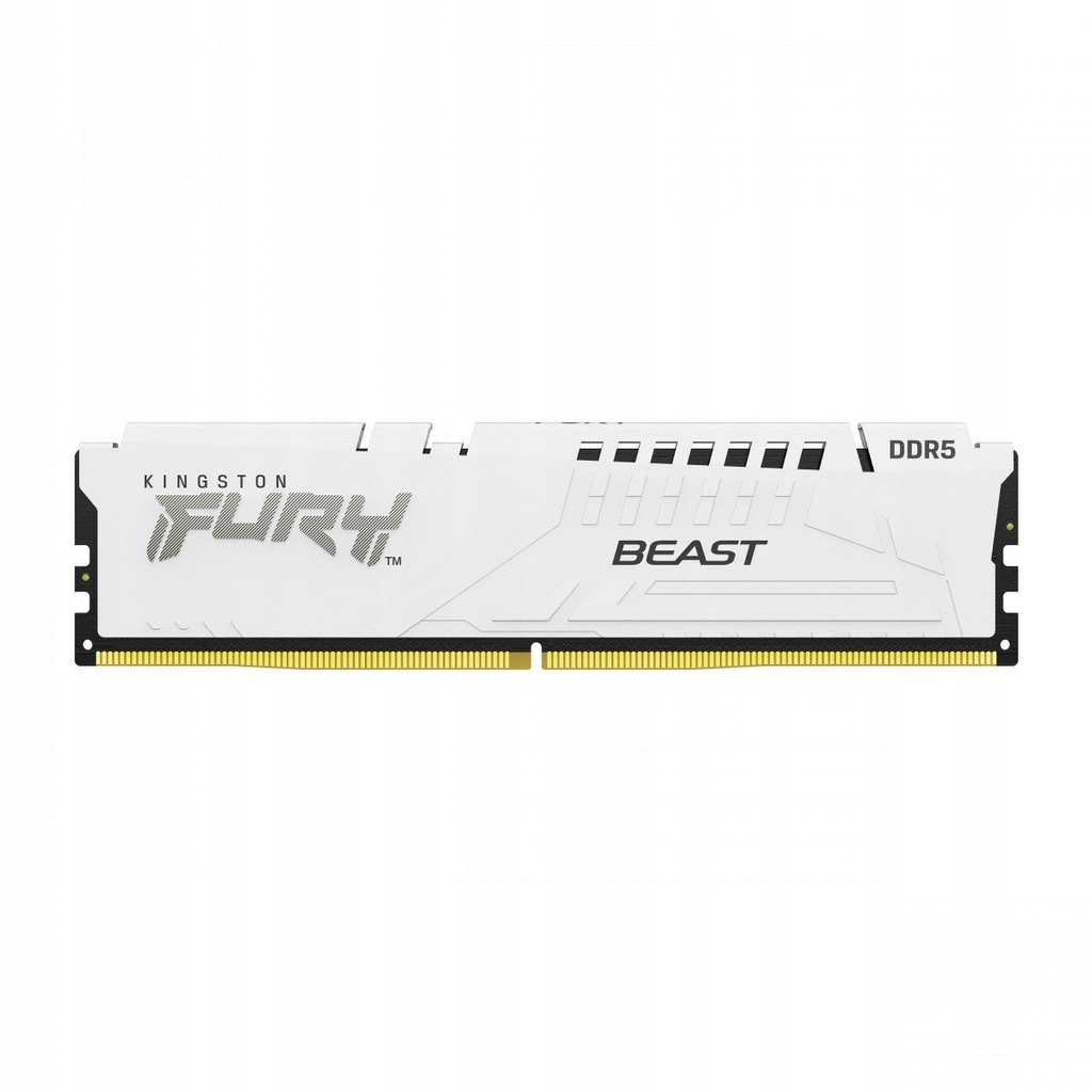 Kingston Pamięć DDR5 Fury Beast 16GB(1