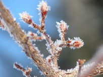 Brrrrrrr.................  gęsia skórka za ZETA!