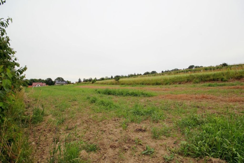 Działka, Chełmiec, Męcinka (gm.), 1944 m²