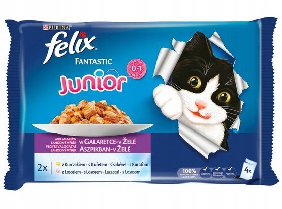 Felix Fantastic Junior Kurczak & Łosoś w galar