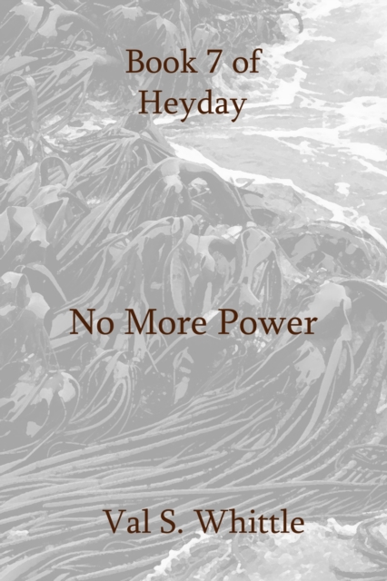 No More Power - Whittle, Val S. EBOOK
