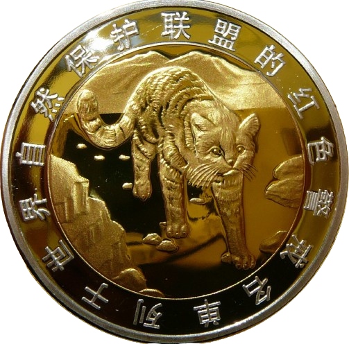 OCELOT ANDYJSKI ZAGROŻONE GATUNKI DZIKICH ZWIERZĄT