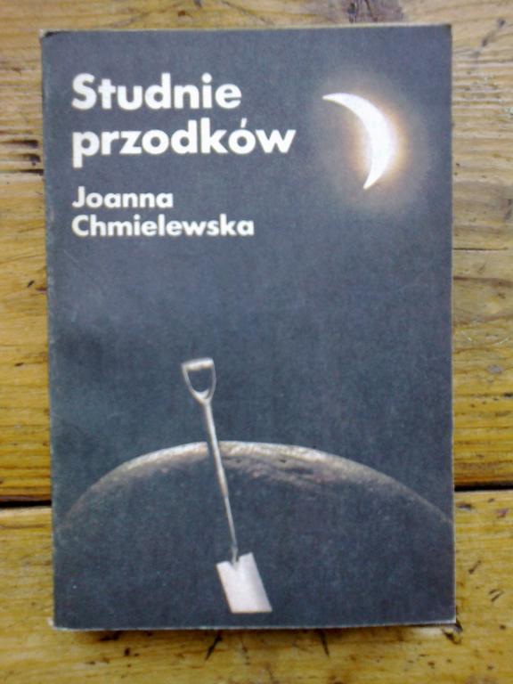 Studnie przodków - Joanna Chmielewska