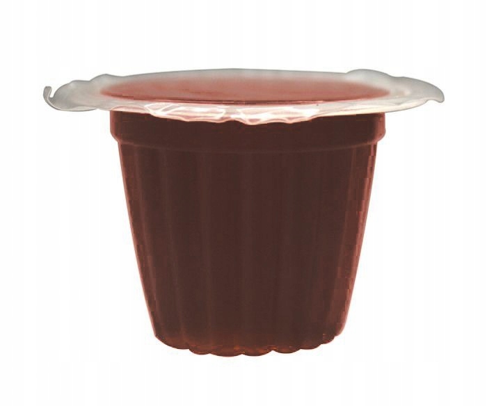 Komodo Jelly Pot Brown Sugar- pokarm brązowy cukier w żelu