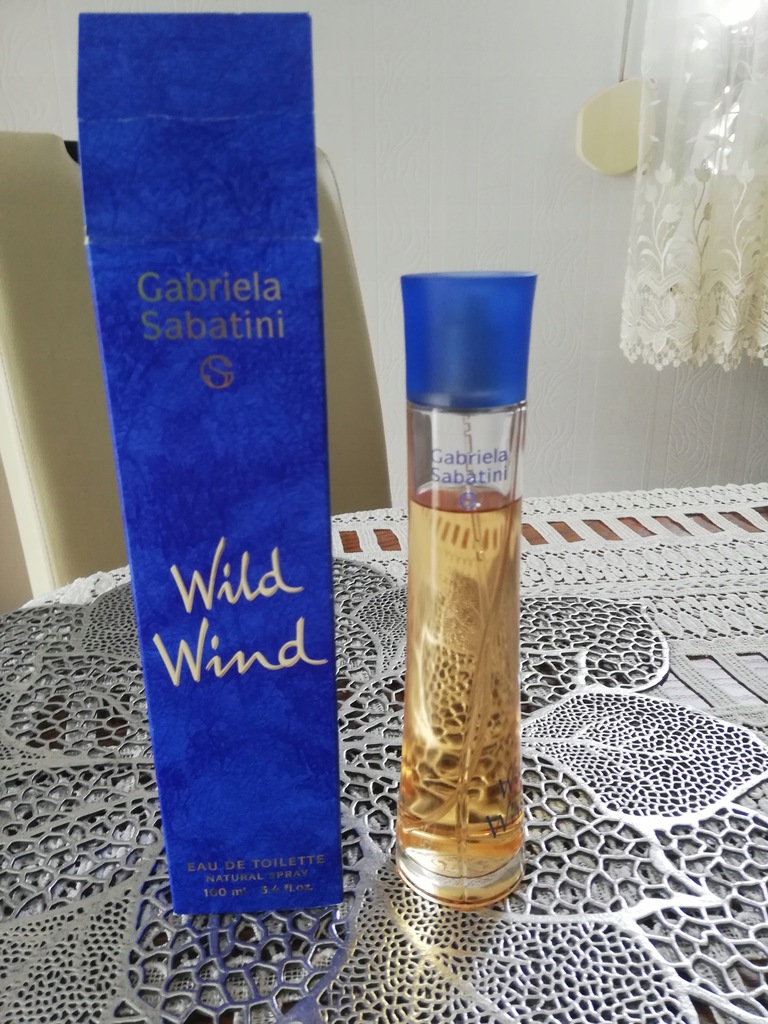 Gabriela Sabatini WILD WIND EDT 100 ml 10656568790