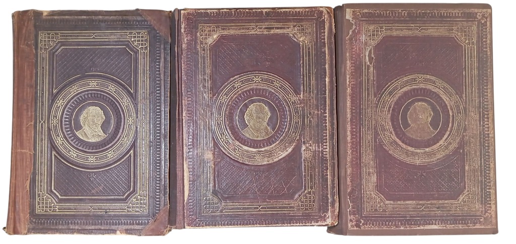 DZIEŁA DRAMATYCZNE WILLIAMA SHAKESPEARE 1875/77 drzeworyty rysunku Selousa