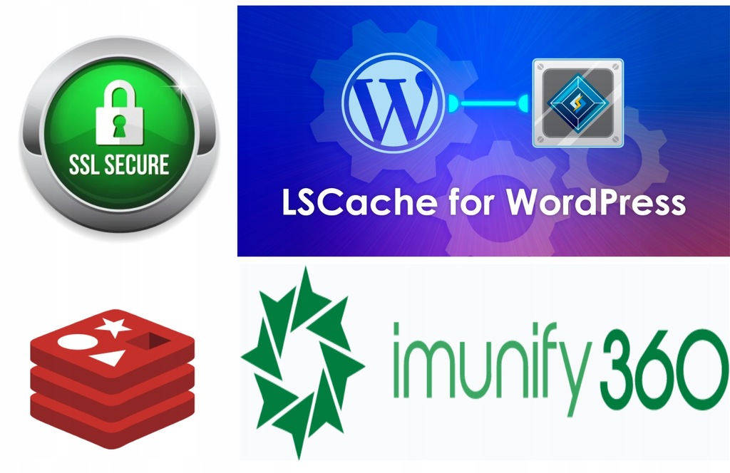 Hosting strony WordPress e-mail+FTP+LSCache+SSL FV