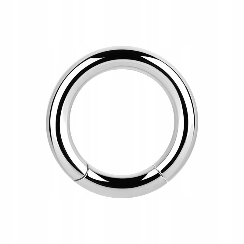 SS316L hinged segment ring 4x10