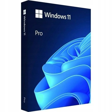 Microsoft Windows 11 Pro HAV-00163, pamięć USB, pr