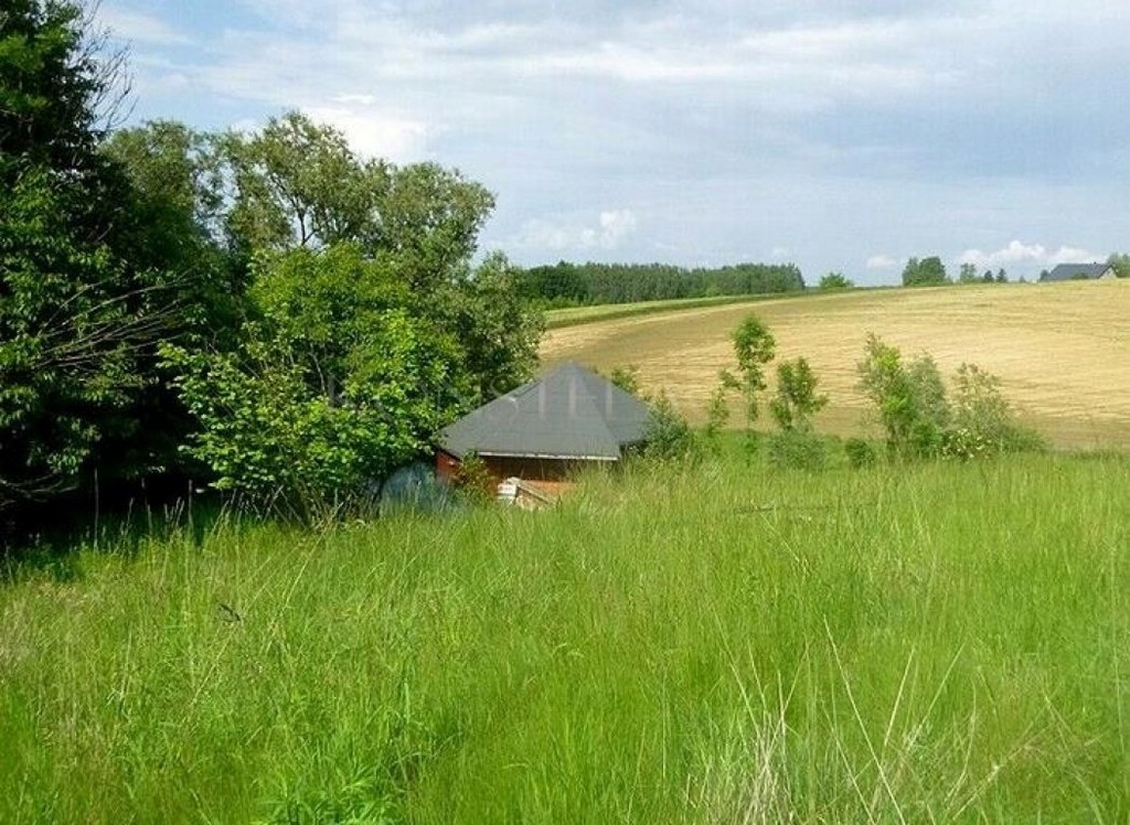 Działka, Wronin, Koniusza (gm.), 10000 m²