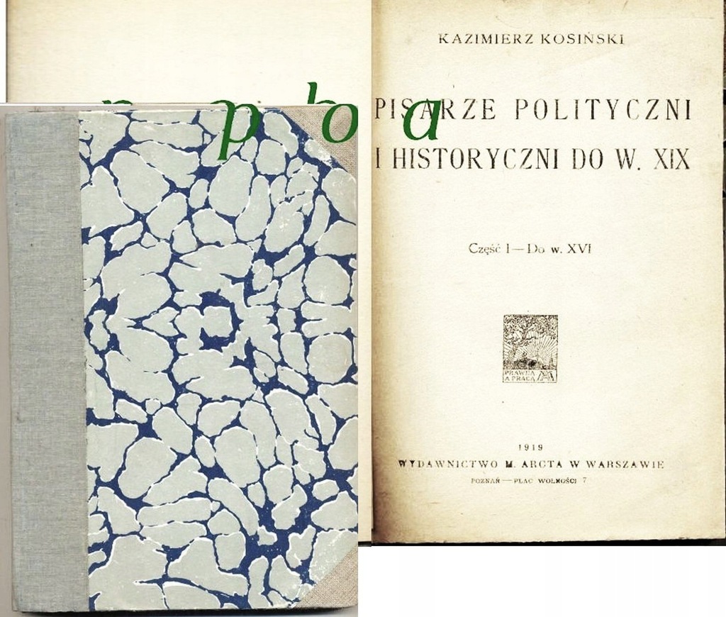 Pisarze polityczni i historyczni 1919 Kaz.Kosiński