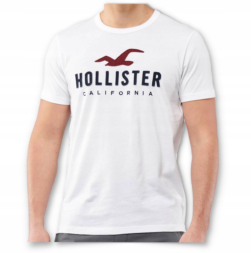 Купить Мужская футболка с логотипом HOLLISTER by Abercrombie XL: отзывы, фото, характеристики в интерне-магазине Aredi.ru