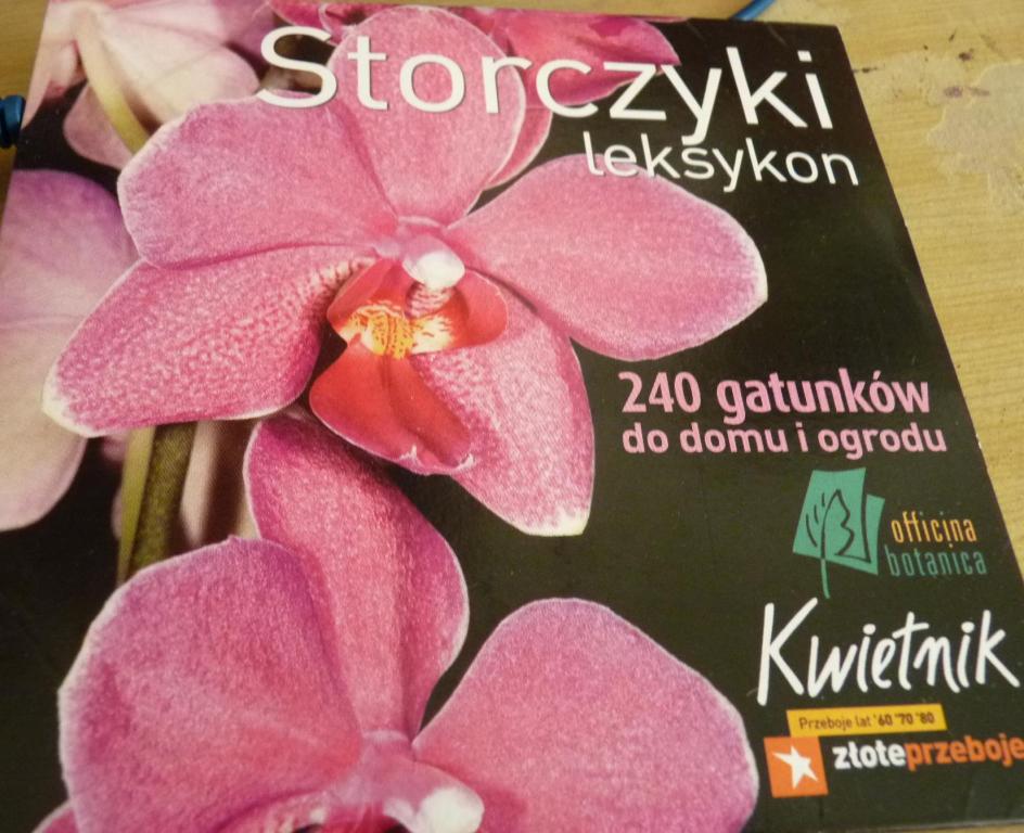 STORCZYKI - płyta z gazety Kwietnik po raz drugi