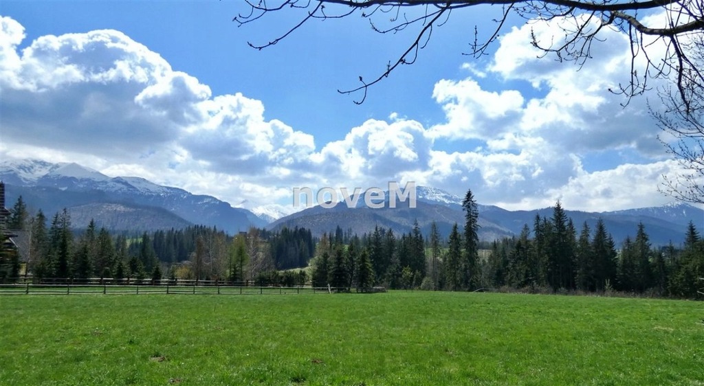 Działka, Kościelisko, Kościelisko (gm.), 2448 m²