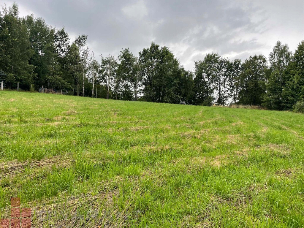 Działka, Wola Radziszowska, 1350 m²