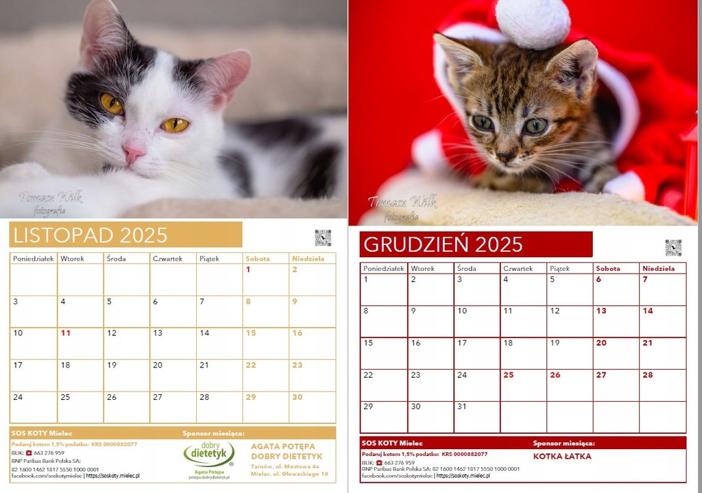 Kalendarz A3 z KOTAMI od SOS KOTY Mielec, ale BEZ logo MLH