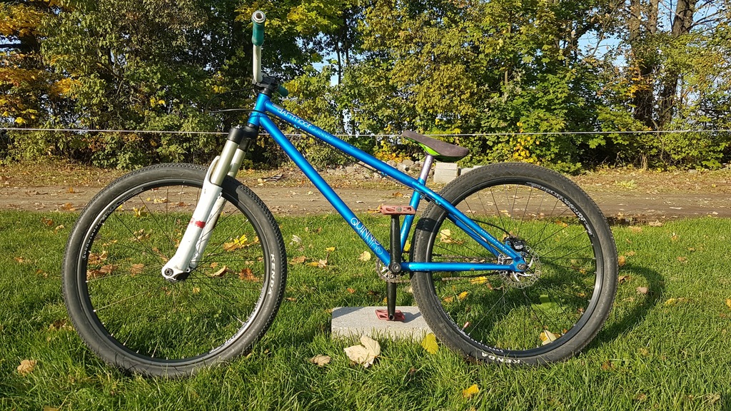 Rower MTB Dartmoor Quinnie 2011 Dirt/Street 26''