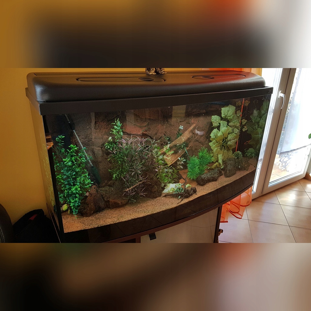 AKWARIUM panoramiczne 200L +szafka i akcesoria P-ń