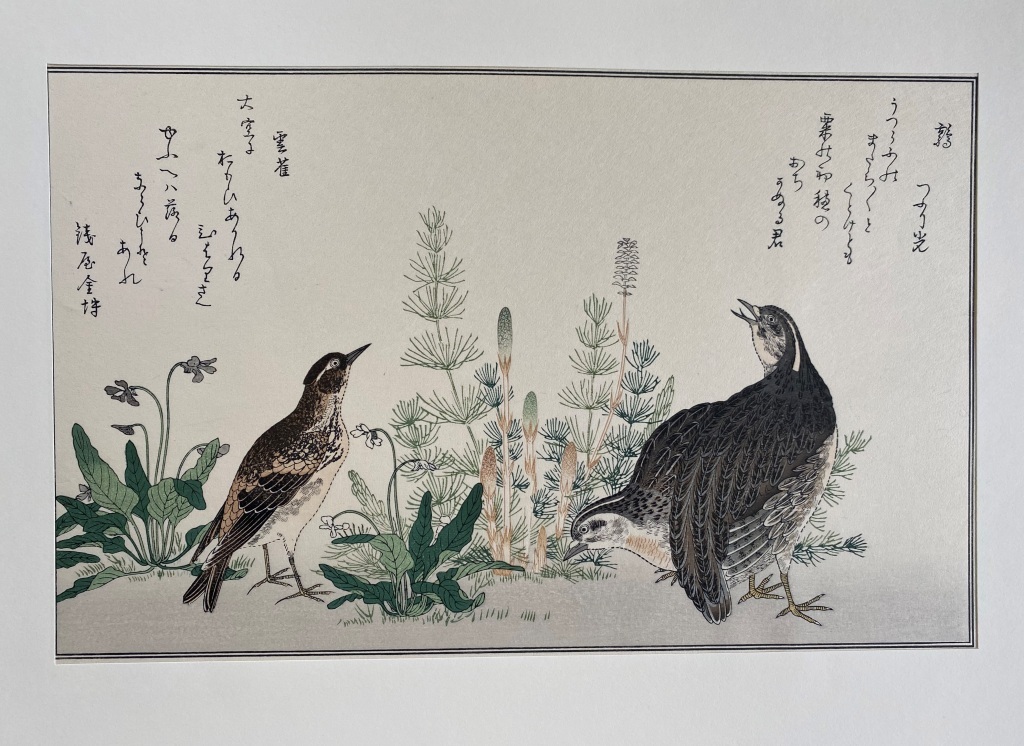 Drzeworyt japoński, Przepiórka i skowronek, Kitagawa Utamaro, duży format
