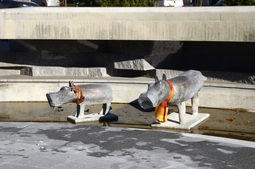 Szalik Hipopotamka - yarnbombing Piaseczno