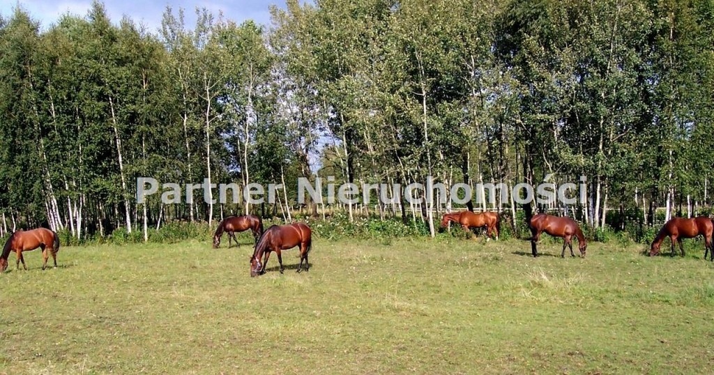 Dom, Wąbrzeźno, Wąbrzeski (pow.), 125 m²