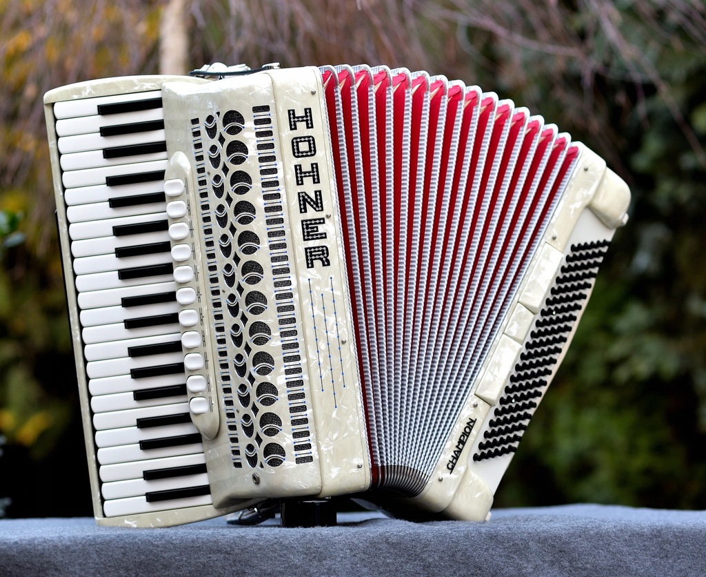 Akordeon Hohner Champion 120 basów 4 chóry