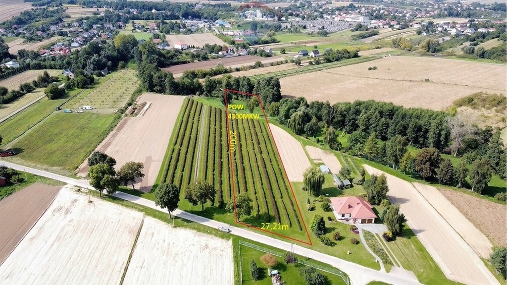 Działka, Szewna, Bodzechów (gm.), 4300 m²