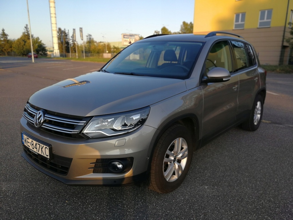 Купить VOLKSWAGEN TIGUAN 2.0TDI XENON ALU PDC SAL ПОЛЬША: отзывы, фото, характеристики в интерне-магазине Aredi.ru