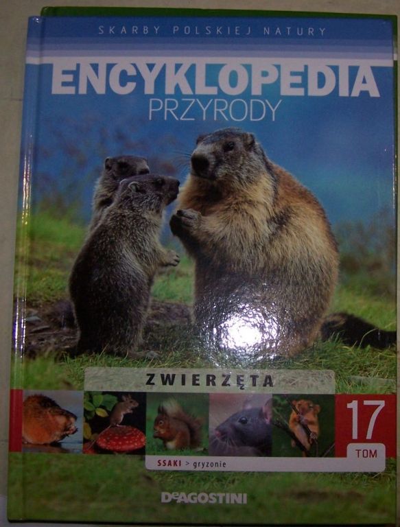 Encyklopedia przyrody - gryzonie