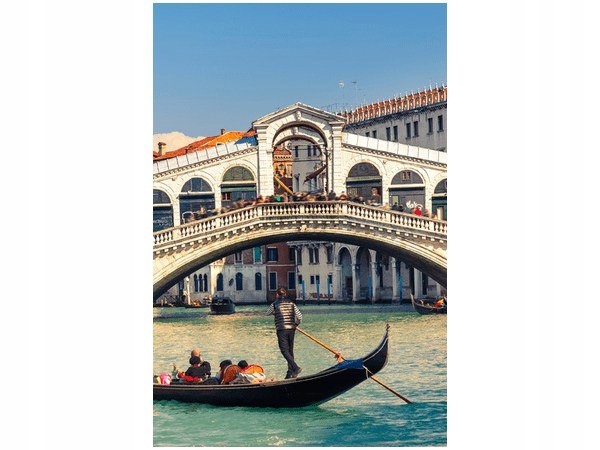 Most Rialto w Wenecji 30x20cm obraz druk grafika