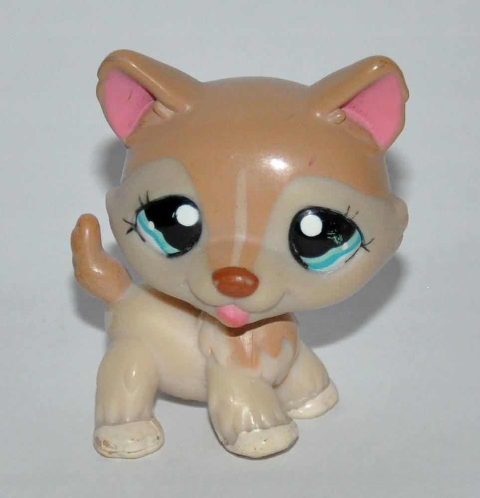 HOT Lps 1012 Husky Littlest Pet Shop Littlest Pet Shop Piesek