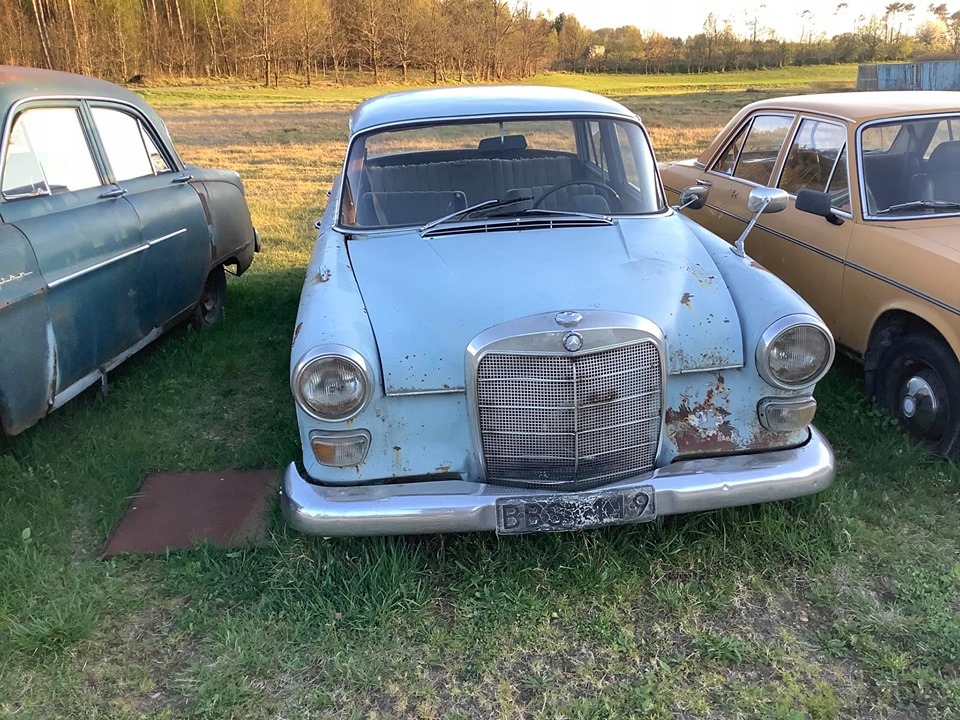 mercedes w 110 skrzydlak