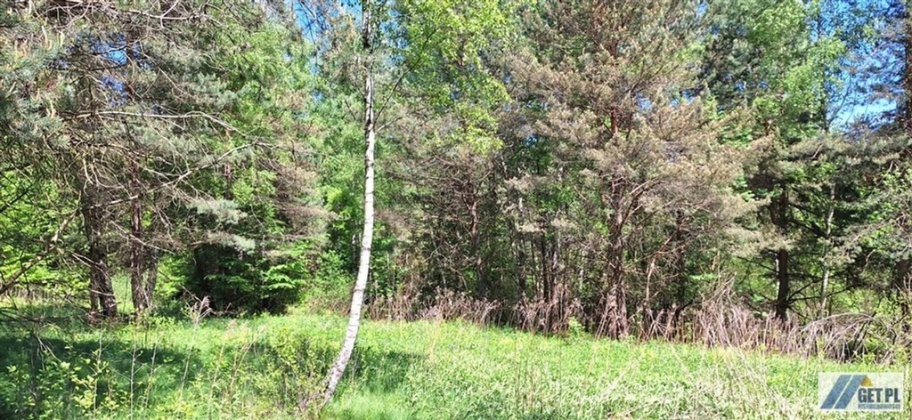Działka, Maków Podhalański (gm.), 1400 m²