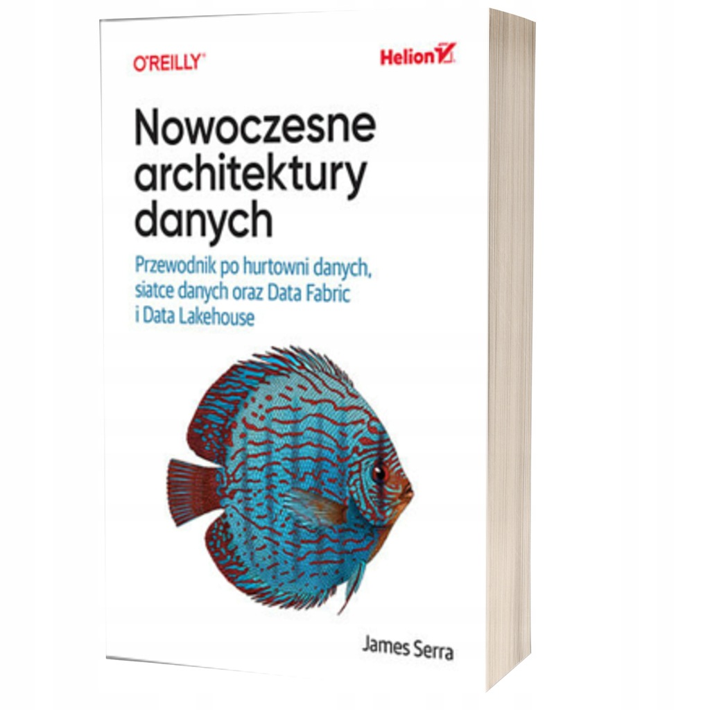 Nowoczesne architektury danych. Przewodnik po hurtowni danych, siatce danyc