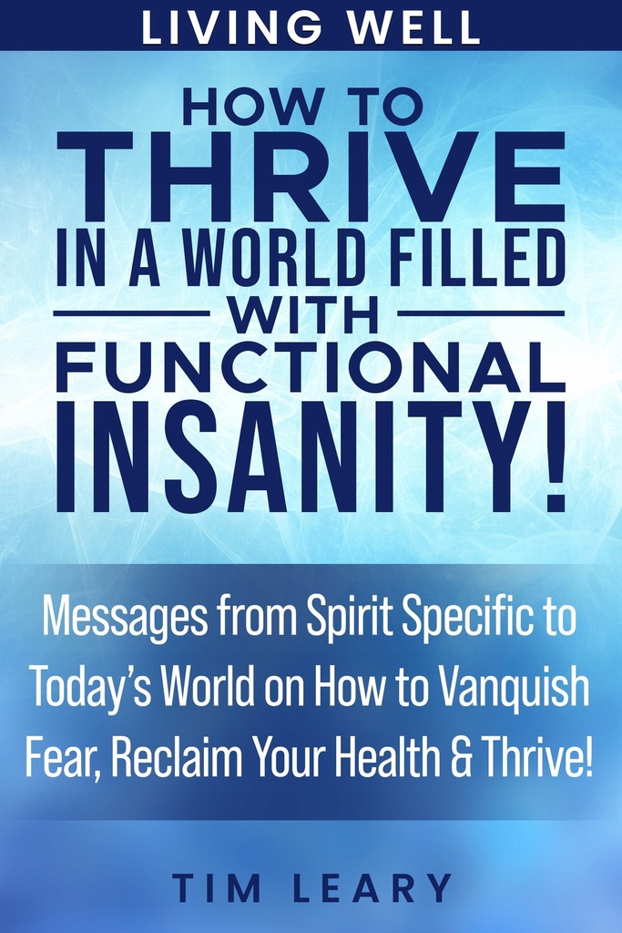 How to Thrive in a World Filled with Functional Insanity! - ebook