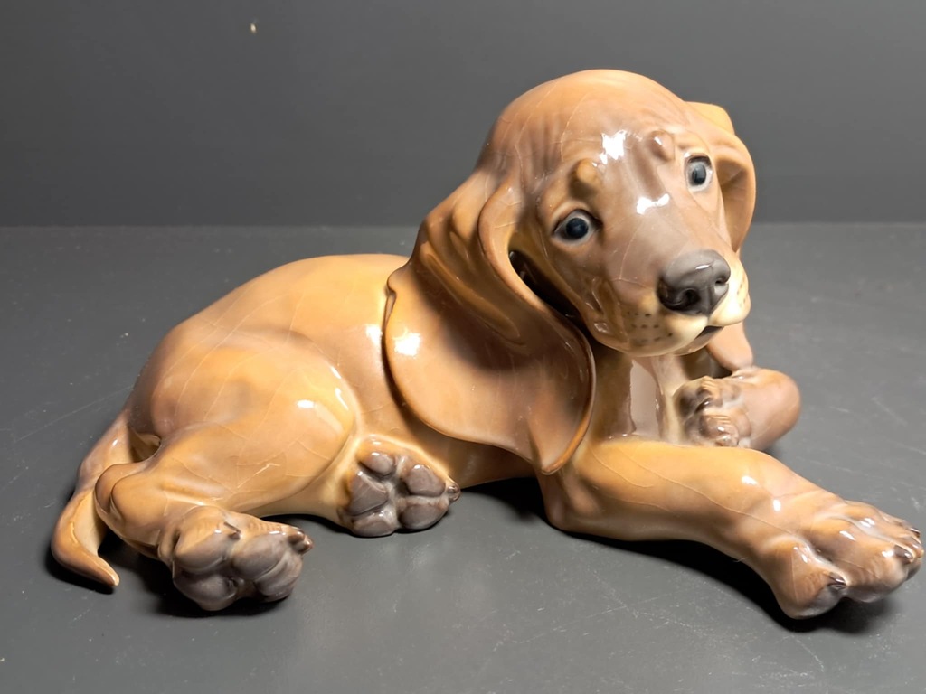 Piekny Allach kolorowy pies