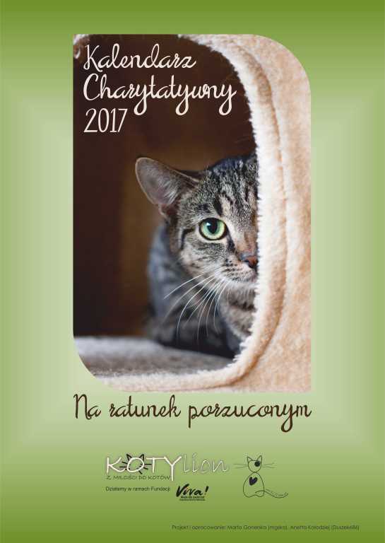 Kalendarz Charytatywny 2017