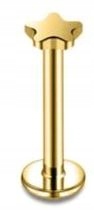 Złoty Labret do ucha wargi GWIAZDKA Helix Lobe Conch Monroe 1,2/6/3mm