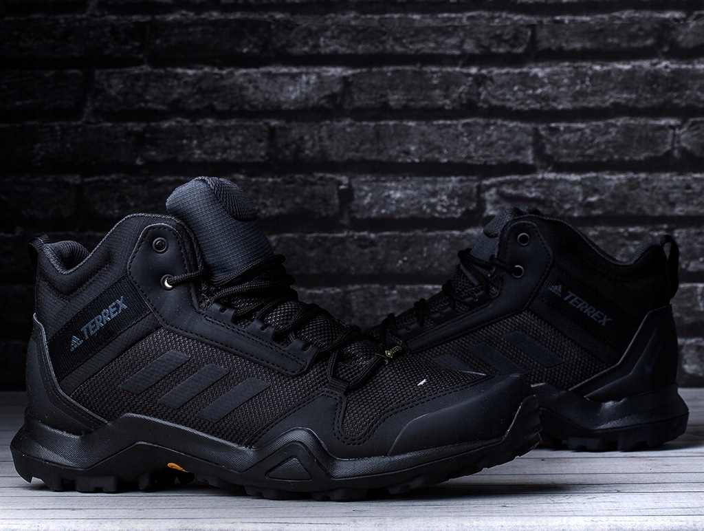 Terrex ax3 GTX Carbon