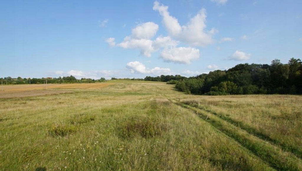 Działka, Łęcze, Tolkmicko (gm.), 29000 m²