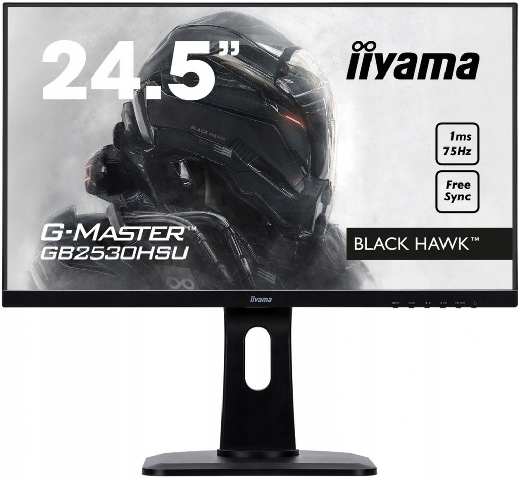 Monitor 24,5 GB2530HSU-B1 1MS,HDMI,DP,USB,PIVOT, F