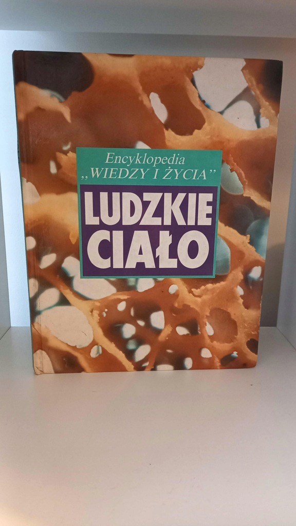 Encyklopedia "Wiedzy i Życia": Ludzkie ciało