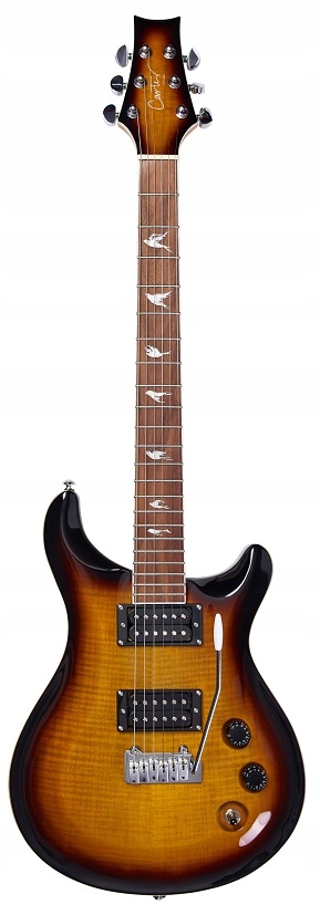 Carter Guitars DUKE 200 TE - Bardzo dobra jakość!